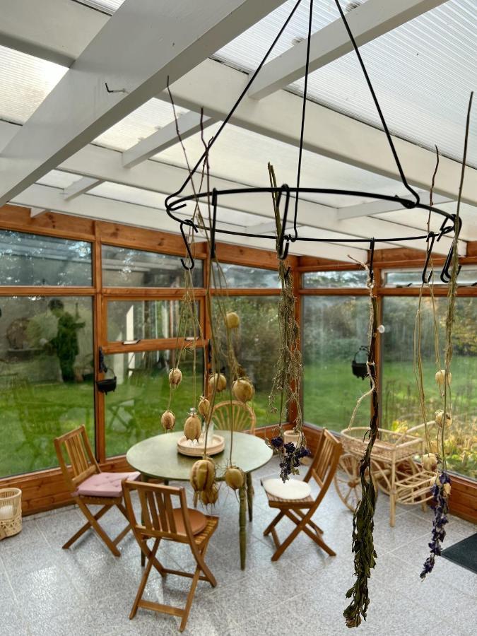 House With A Magical Garden And Sunroom Hofn Luaran gambar